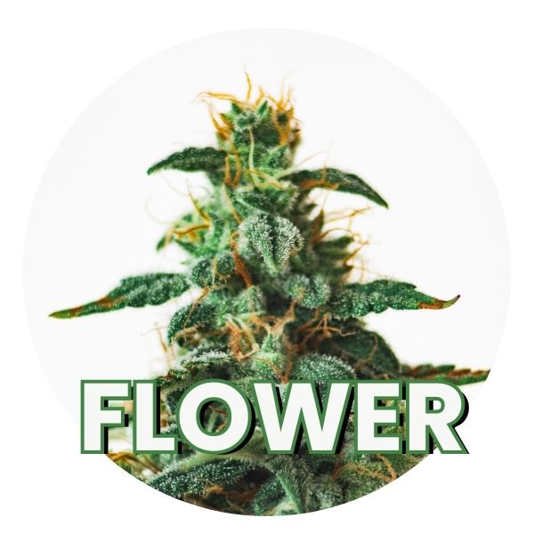 PRODUCT-CATEGORY-IMAGE-SHOWING-FLOWER